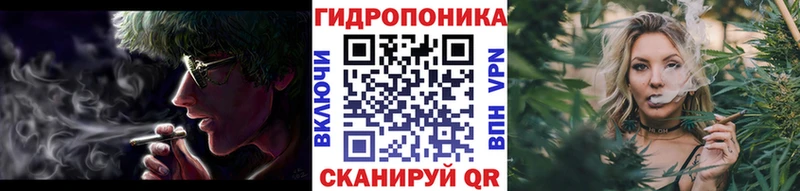 Шишки марихуана марихуана  Нестеровская 